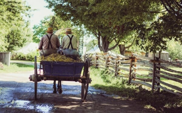 kutsche-wegbereit-coaching-definition Was heißt Coaching - Kutsche Trainer Partner bis ans Ziel - Wegbereit Coaching & Management - Christian Einsiedel